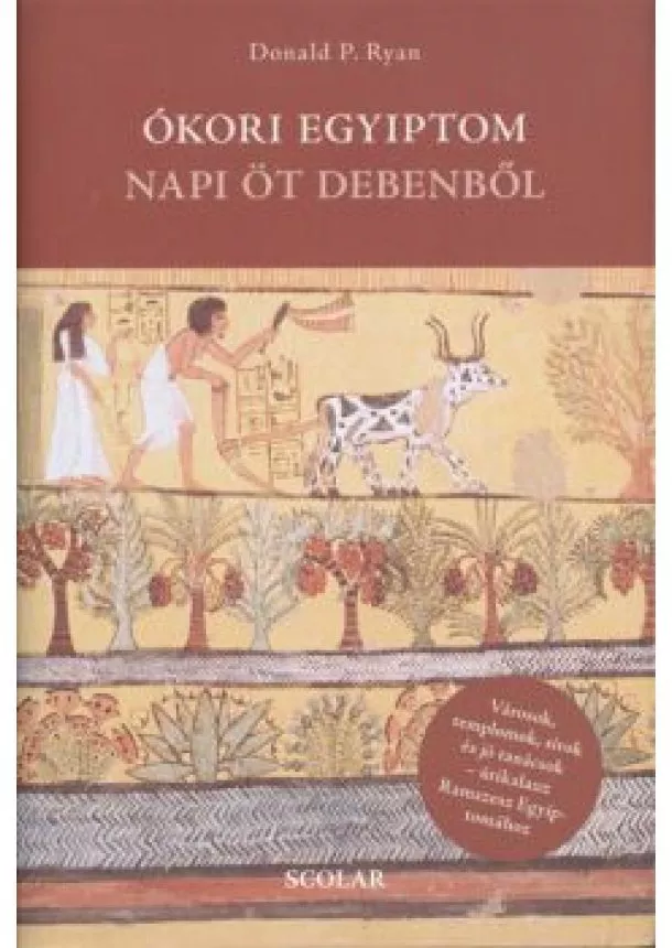Donald P. Ryan - Ókori Egyiptom napi öt debenből