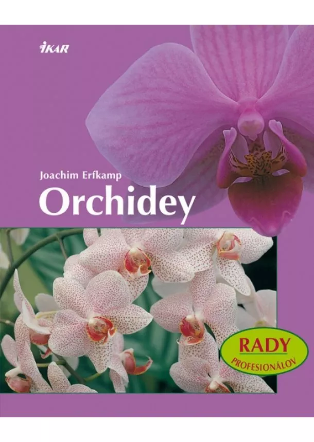 Joachim Erfkamp - Orchidey