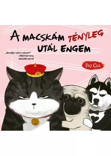 A macskám tényleg utál engem - Macska és Kutya 2.