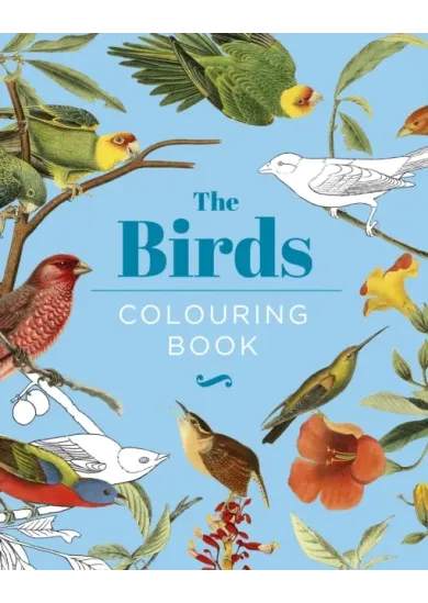 The Birds Colouring Book