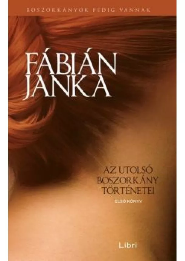 Fábián Janka - Az utolsó boszorkány történetei - Első könyv (új kiadás)