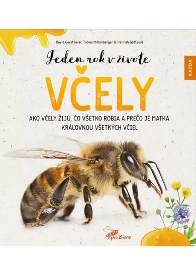 Jeden rok v živote včely SK - Ako včely žijú, čo všetko robia a prečo je matka kráľovnou všetkých včiel