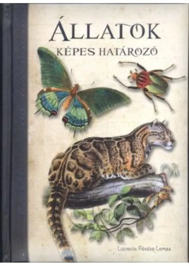 Lucrecia Pésico Lamas - Képes határozó: Állatok