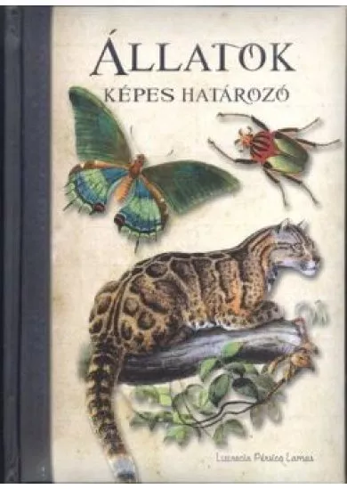 Képes határozó: Állatok