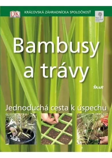 Bambusy a trávy