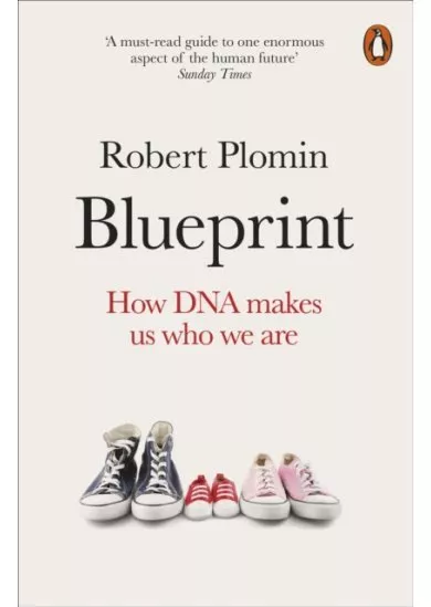 Blueprint