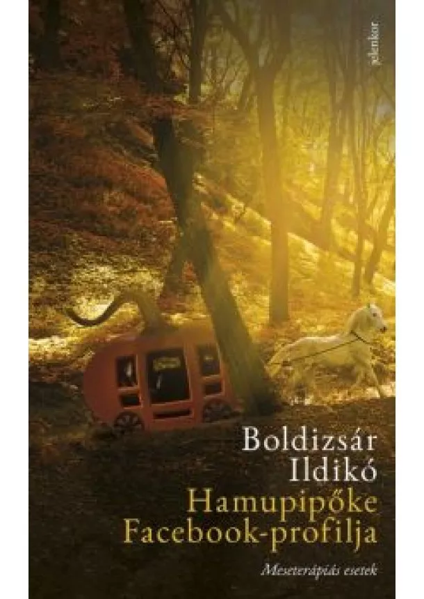 Boldizsár Ildikó - Hamupipőke Facebook-profilja /Meseterápiás esetek