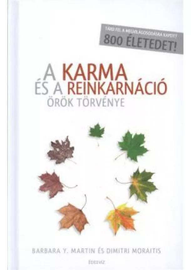 BARBARA Y. MARTIN - DIMITRI MORAITIS - A KARMA ÉS A REINKARNÁCIÓ ÖRÖK TÖRVÉNYE