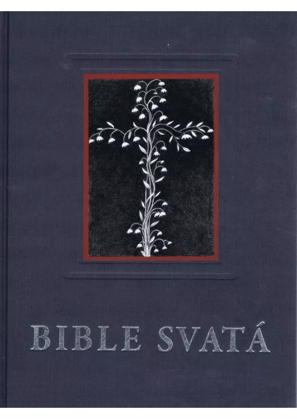 Kolektív - Biblie svatá