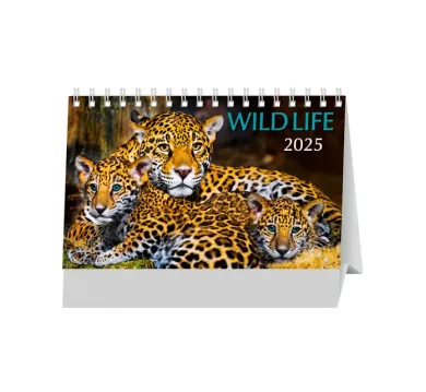 Wild life 2025 - S21-25