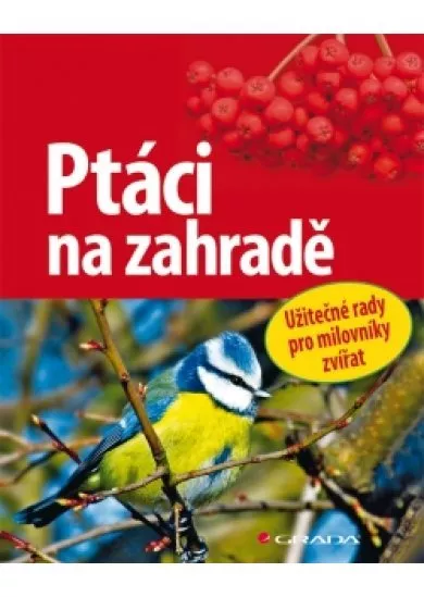 Ptáci na zahradě - Užitečné rady pro milovníky přírody