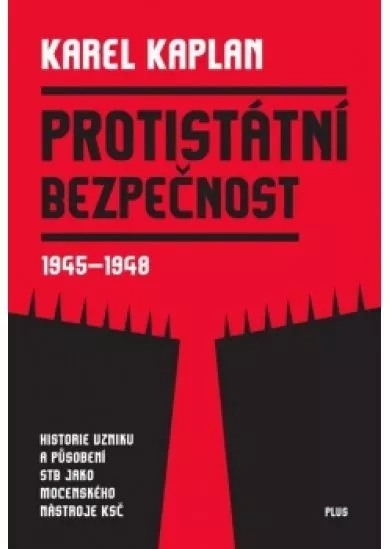 Protistátní bezpečnost