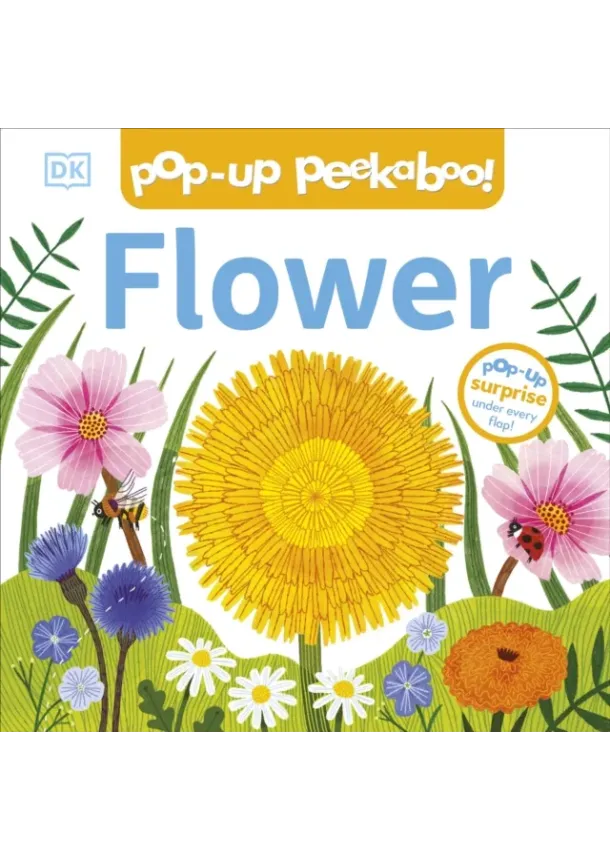  DK - Pop-Up Peekaboo! Flower