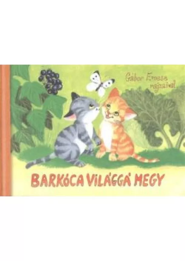 Gábor Emese - BARKÓCA VILÁGGÁ MEGY