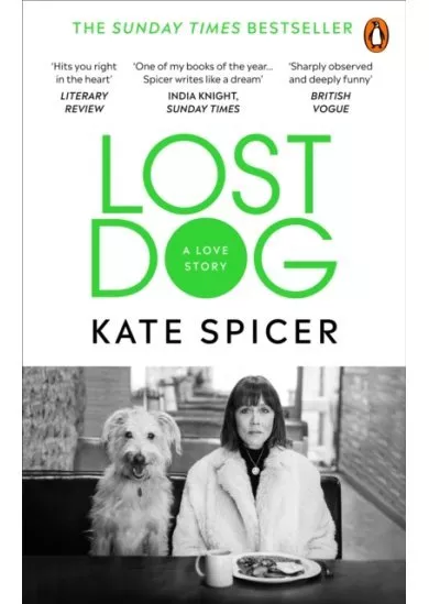 Lost Dog