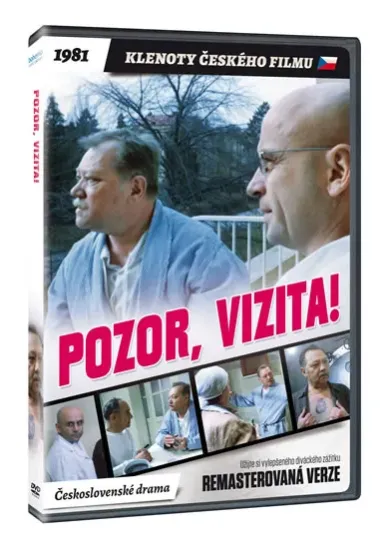 Pozor, vizita!