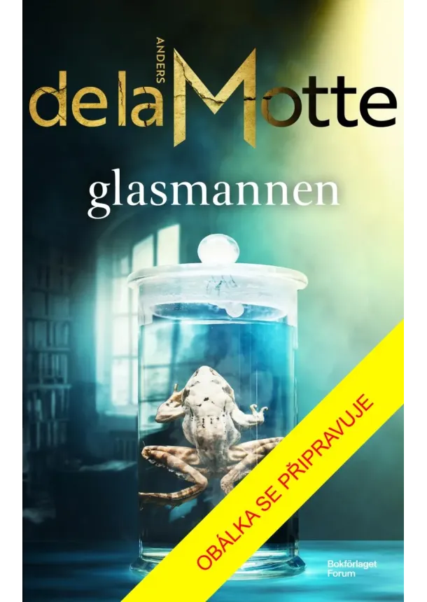 Anders de la Motte - Skleněný muž