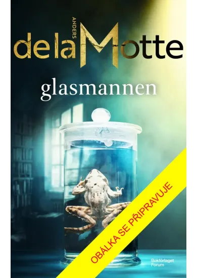 Skleněný muž