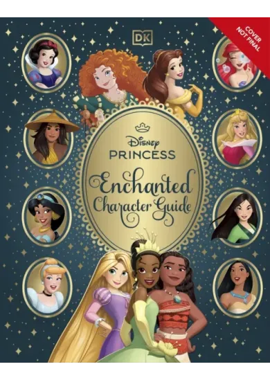 Disney Princess Enchanted Character Guide