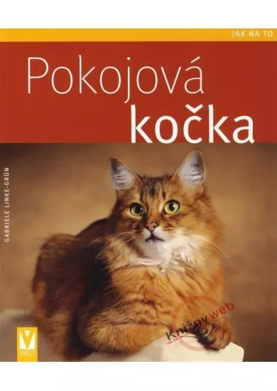 Pokojová kočka  - Jak na to