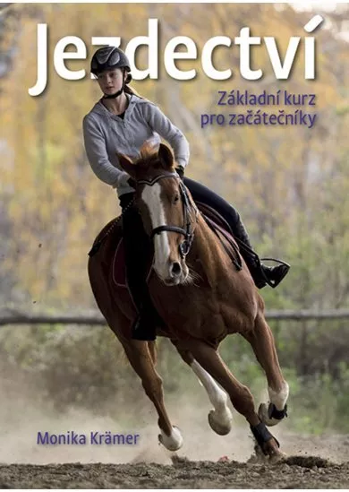 Jezdectví – základní kurz pro začátečníky