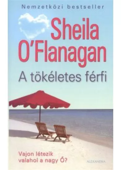 A TÖKÉLETES FÉRFI