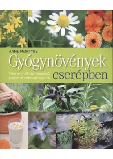 Gyógynövények cserépben /Több mint 40 házi készítésű gyógyír mindennapi bajokra