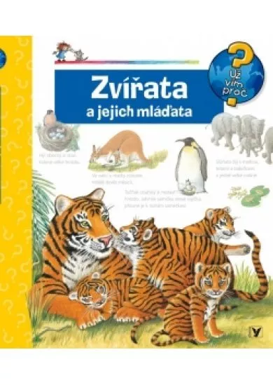 Zvířata a jejich mláďata