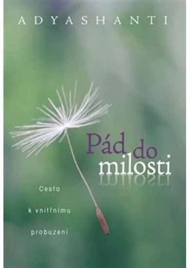 Pád do milosti - Cesta k vnitřnímu probuzení