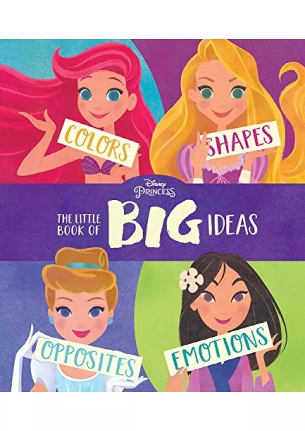 Disney Princess The Little Book of Big Ideas