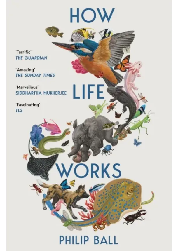 Philip Ball - How Life Works