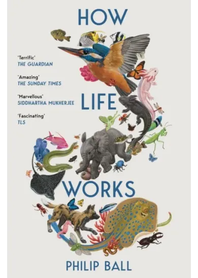 How Life Works