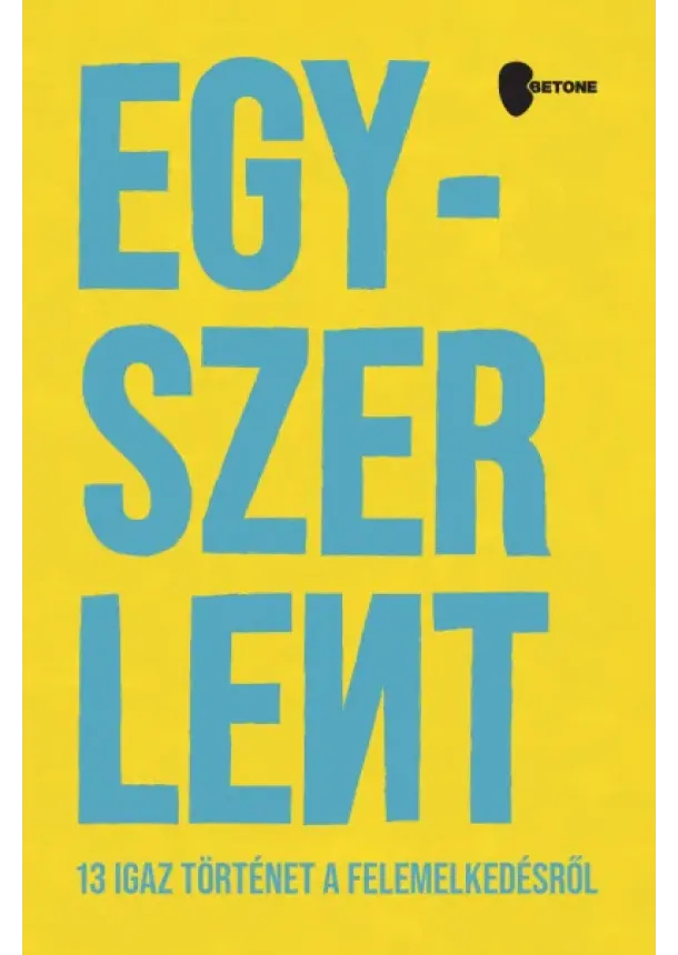 Román Balázs  |  Zsiga Henrik - Egyszer Lent - 13 igaz történet a felemelkedésről 