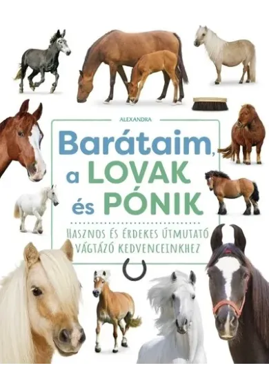 Barátaim, a lovak és pónik