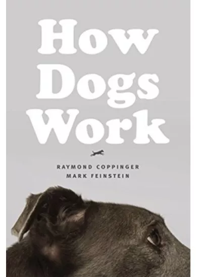 How Dogs Work