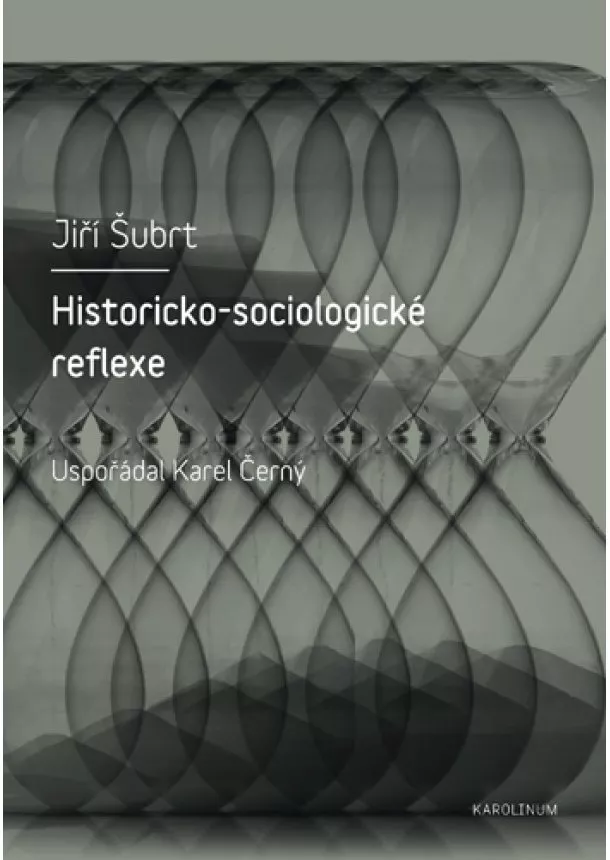Jiří Šubrt - Historicko-sociologické reflexe