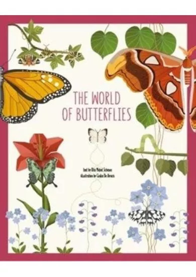 The World Of Butterflies