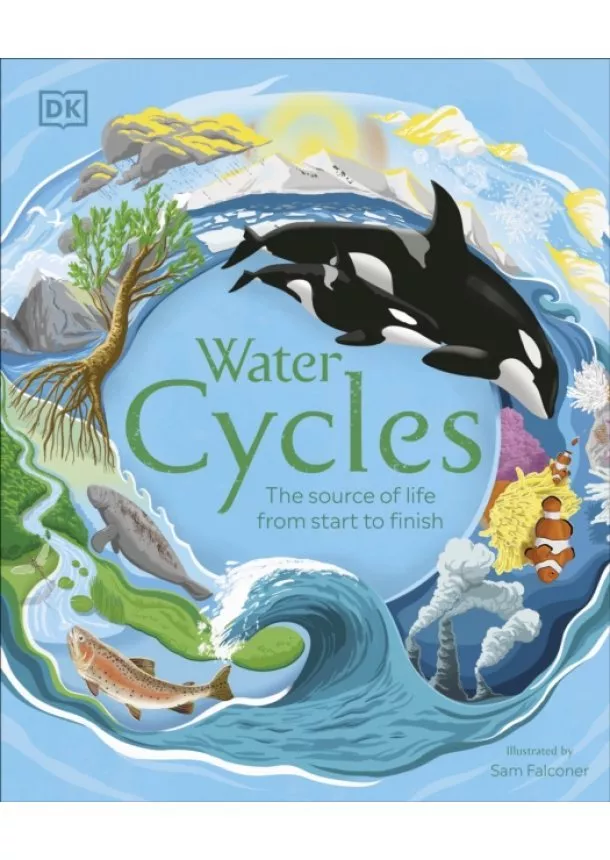 Water Cycles