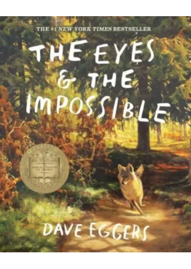 The Eyes and the Impossible