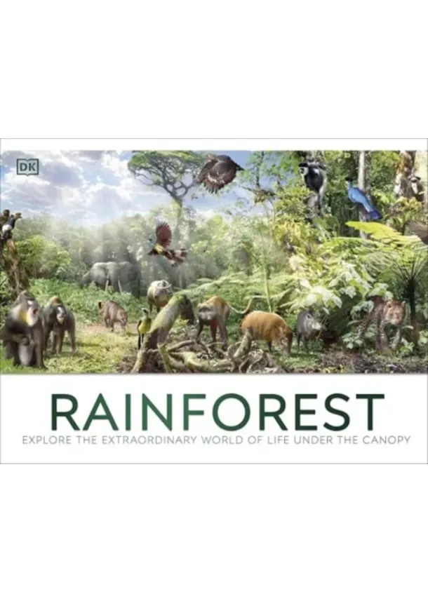  DK - Rainforest
