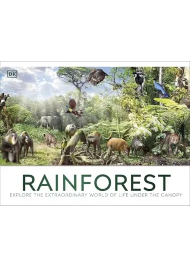 Rainforest