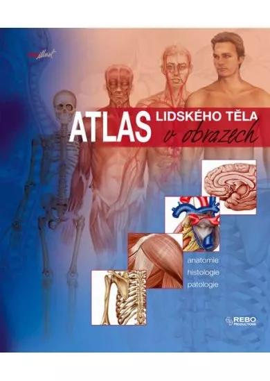 Atlas lidského těla v obrazech