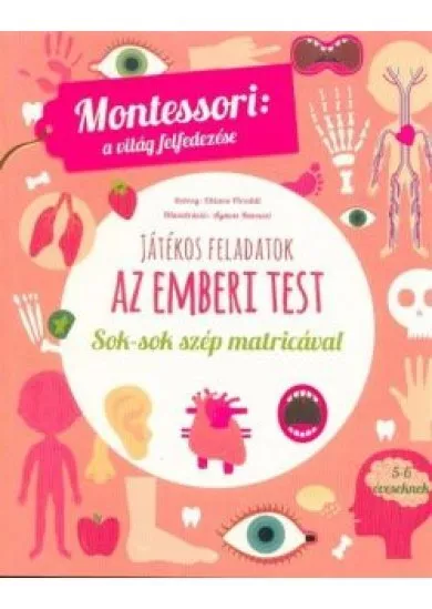 Az emberi test - Montessori: A világ felfedezése