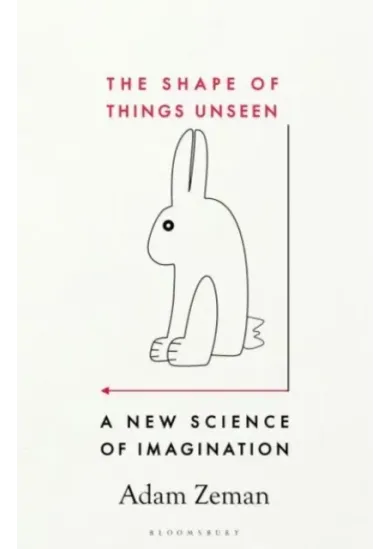 The Shape of Things Unseen