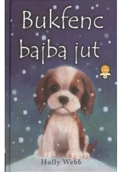 BUKFENC BAJBA JUT