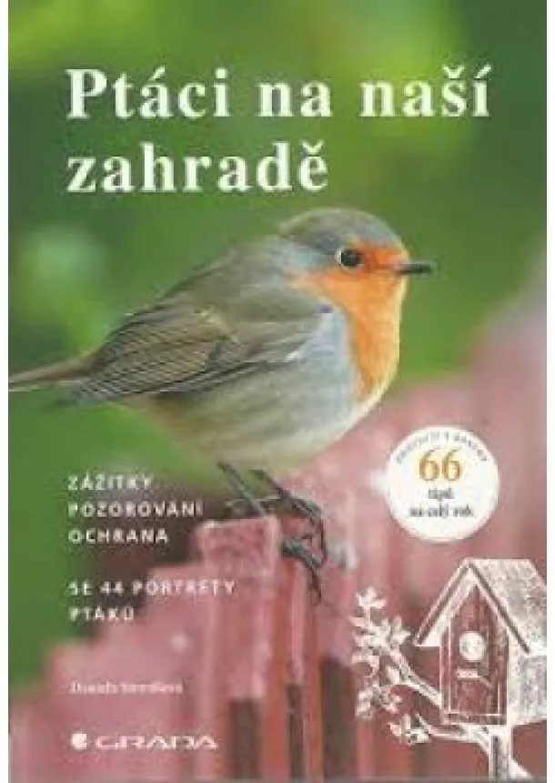 Daniela Straußová - Ptáci na naší zahradě - Zážitky, pozorov