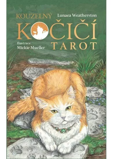 Kouzelný kočičí tarot - Kniha a 78 karet