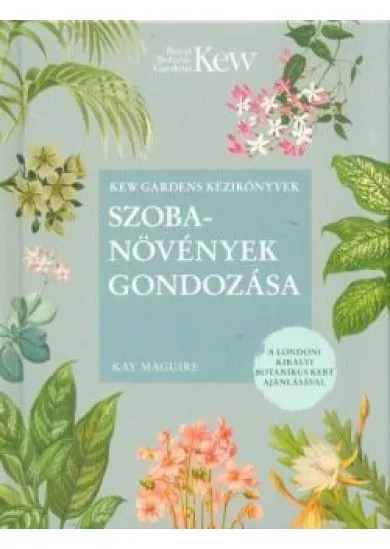 Szobanövények gondozása