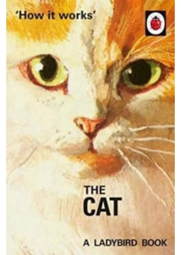 Jason Hazeley - How It Works: The Cat