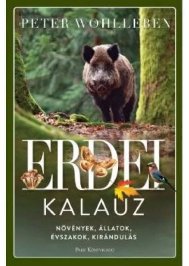 Erdei kalauz - Növények, állatok, évszakok, kirándulás